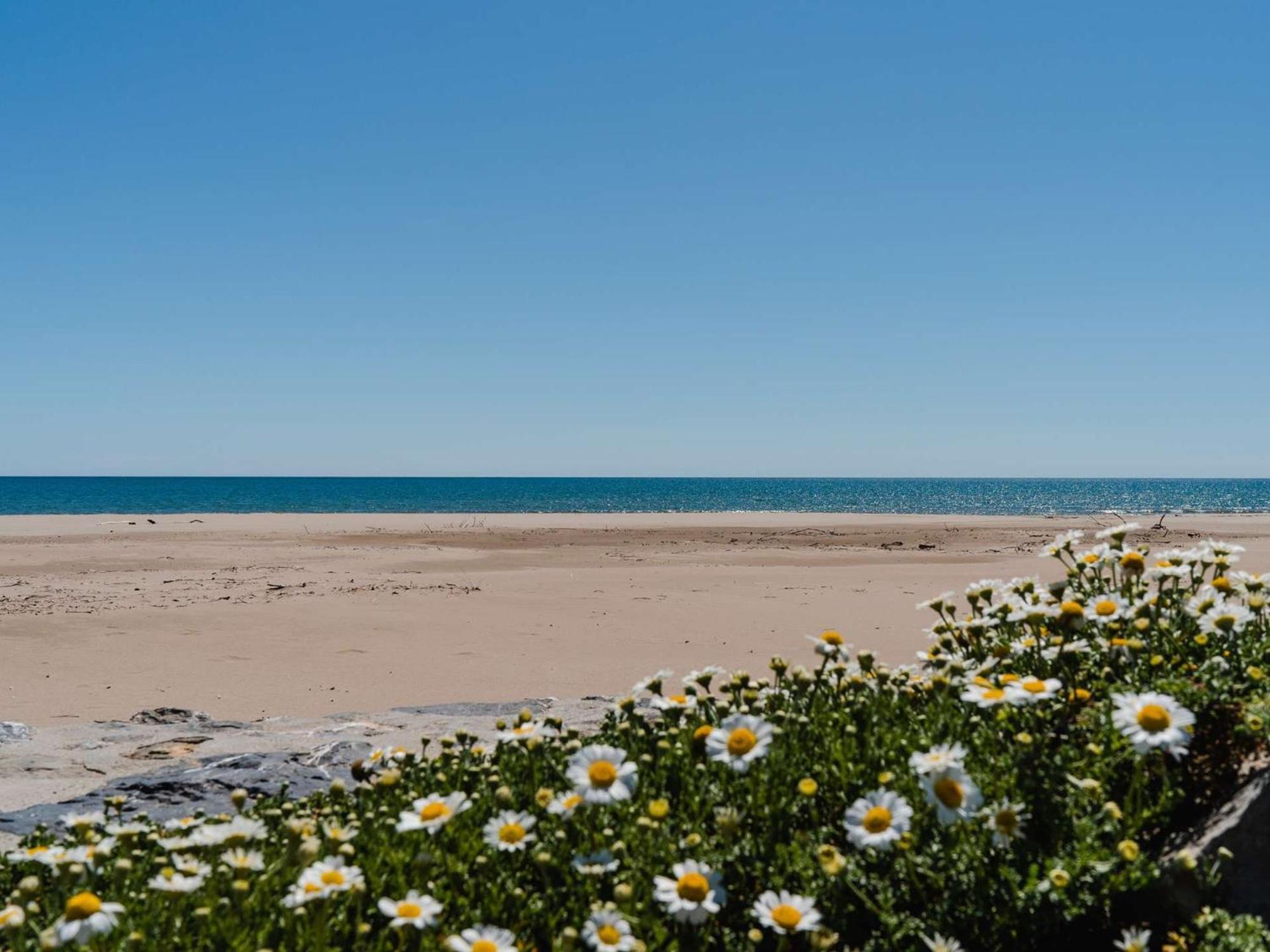 Apartment T2 Avec Loggia, 4 Couchages, Proche Et Commerces, Narbonne-plage - Fr-1-409-128
